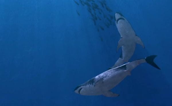 Lost Beasts: Unearthed (2022) - tajemství killer mega shark