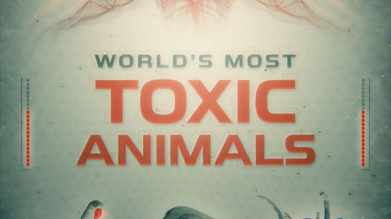 World's Most Toxic Animals (2021)