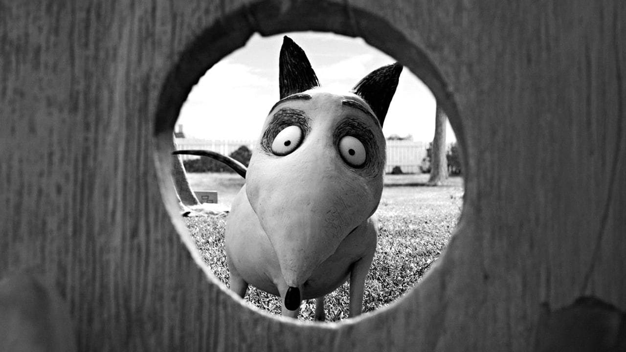 Frankenweenie: Domácí mazlíček