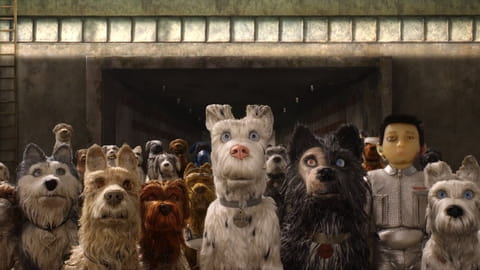 Isle of Dogs 2018 watch online in high quality on Sweet TV