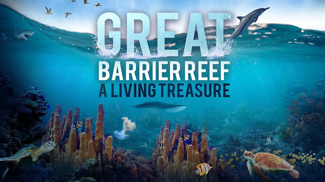 Великий Бар'єрний риф: живий скарб