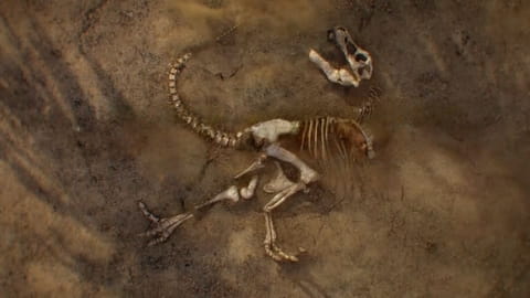 Lost Beasts: Unearthed (2022)