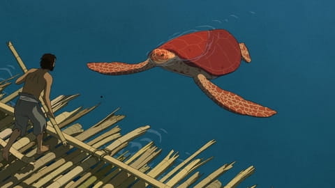 A vörös teknős