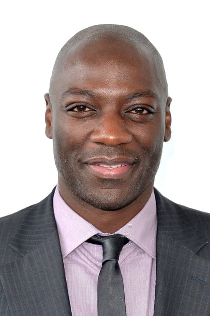 Filmy s tímto hercem Adewale Akinnuoye-Agbaje