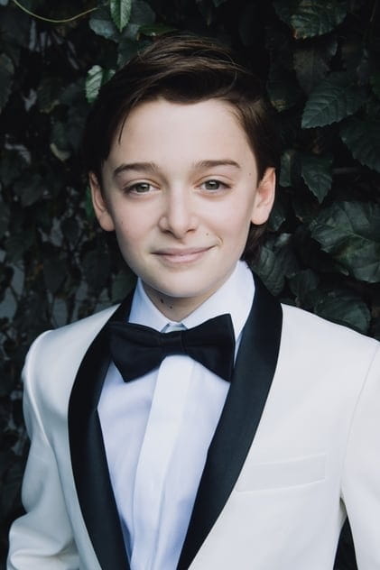 Филми с актьора Noah Schnapp