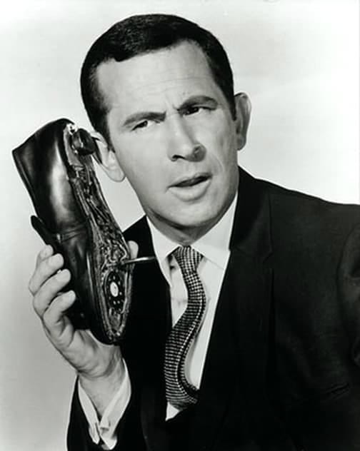 Films with the actor Don Adams