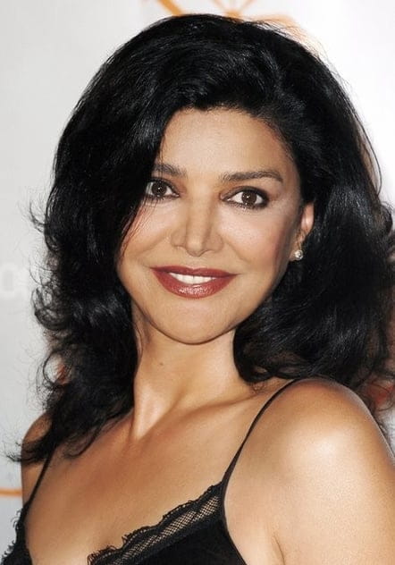 Filmy s tímto hercem Shohreh Aghdashloo