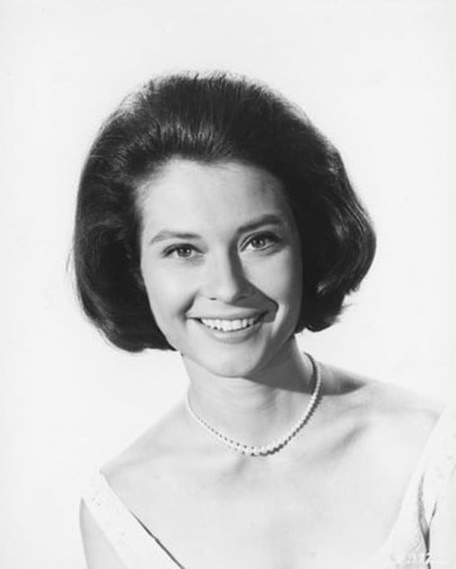 Filmy s tímto hercem Diane Baker