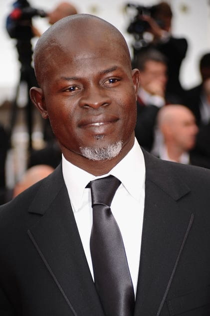 Filmy s tímto hercem Djimon Hounsou