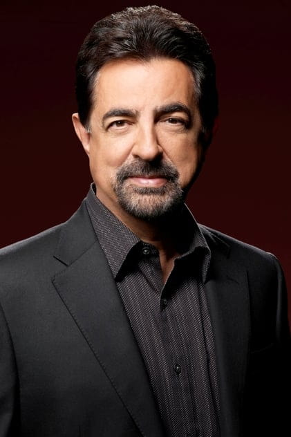 Filmy s tímto hercem Joe Mantegna