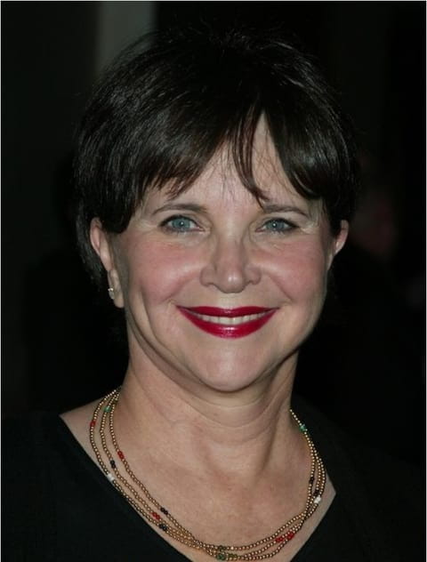 Filmy s tímto hercem Cindy Williams