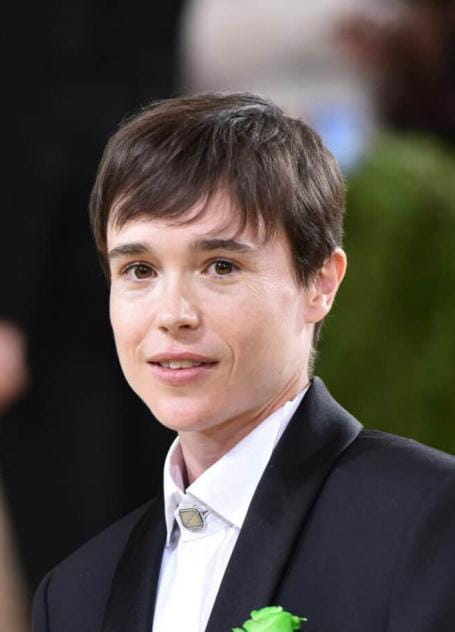 Filmy s tímto hercem Ellen Page