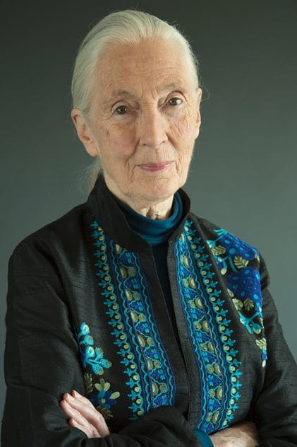 Филми с актьора Jane Goodall