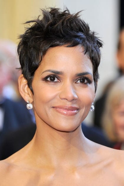 Filmy s tímto hercem Halle Berry