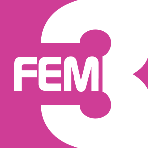 FEM3