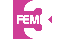 FEM3