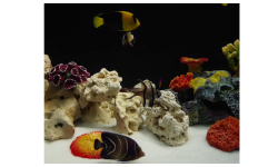 Aquarium 4K
