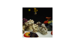 Aquarium 4K