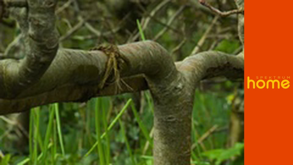 Zahradníkův svět S14E1