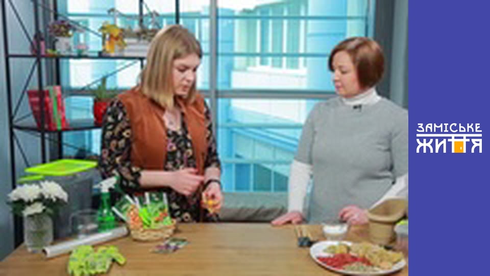 "Summer residents" season 2 series 51