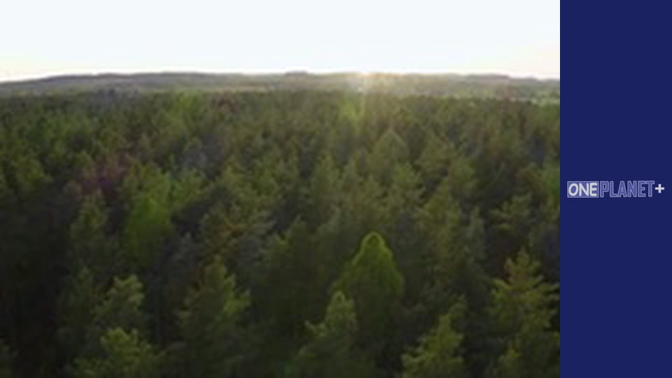 It is worth visiting. - episode 14