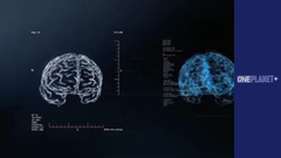 Secrets of the Brain - series 4