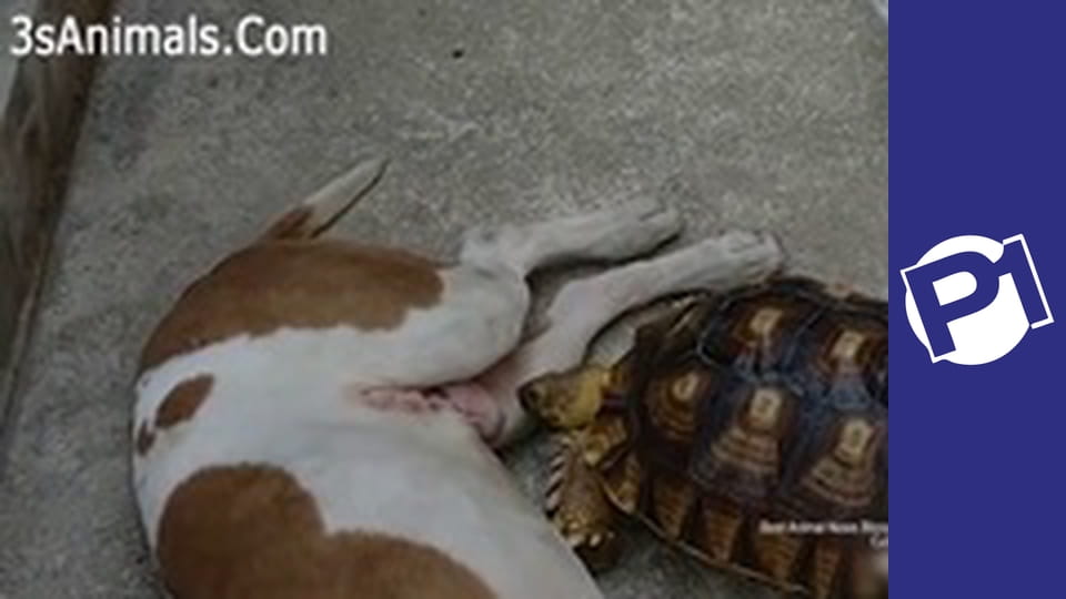 Uśmiechnij się S1E9