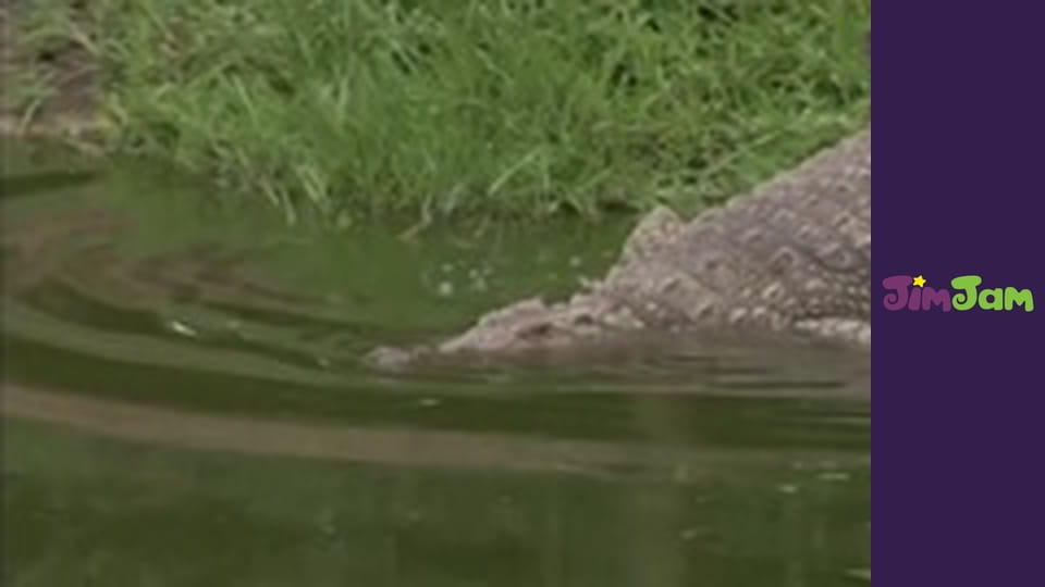 Guess How Much I Love You S1E35 - Shadow play