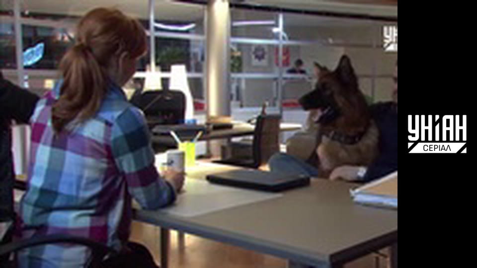 Комісар Алекс