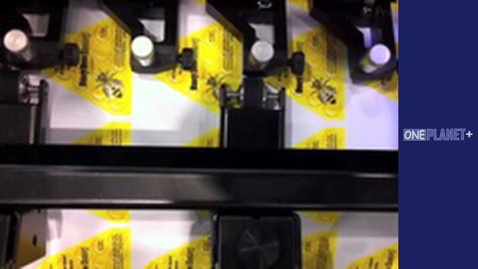 Interesting, Season 1, Episode 5