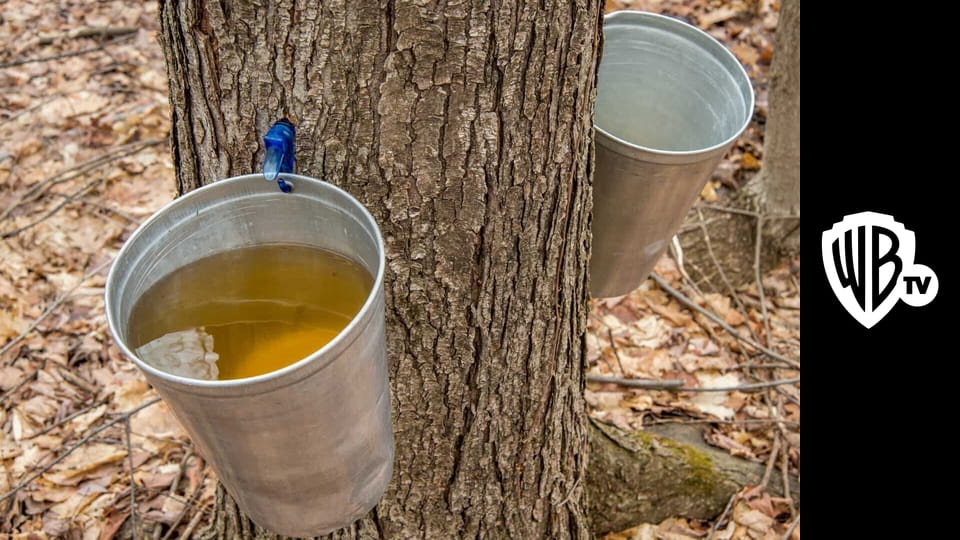 Jak to dělají? S15E1 - 1. díl