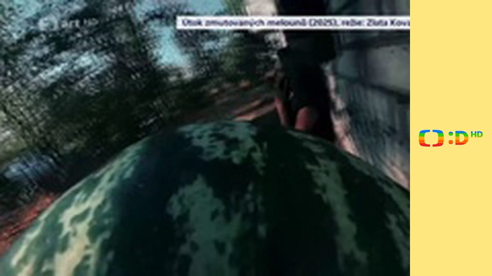 Události v kultuře