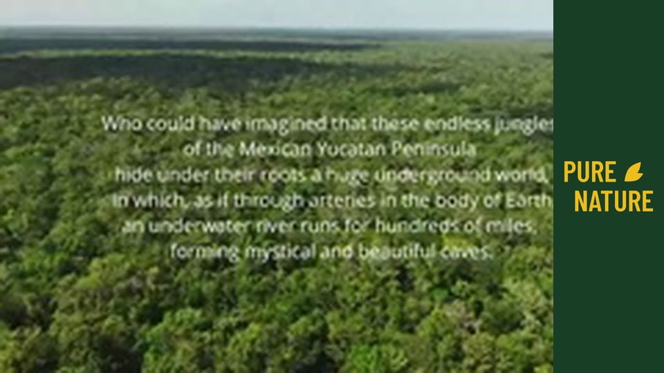 Mexikói víz alatti barlangok: Hihetetlen víz alatti világ