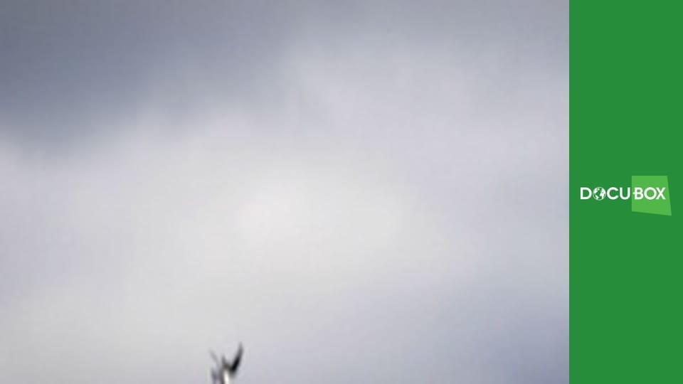 Polowa kuchnia Angela S1E4 - Lucjan