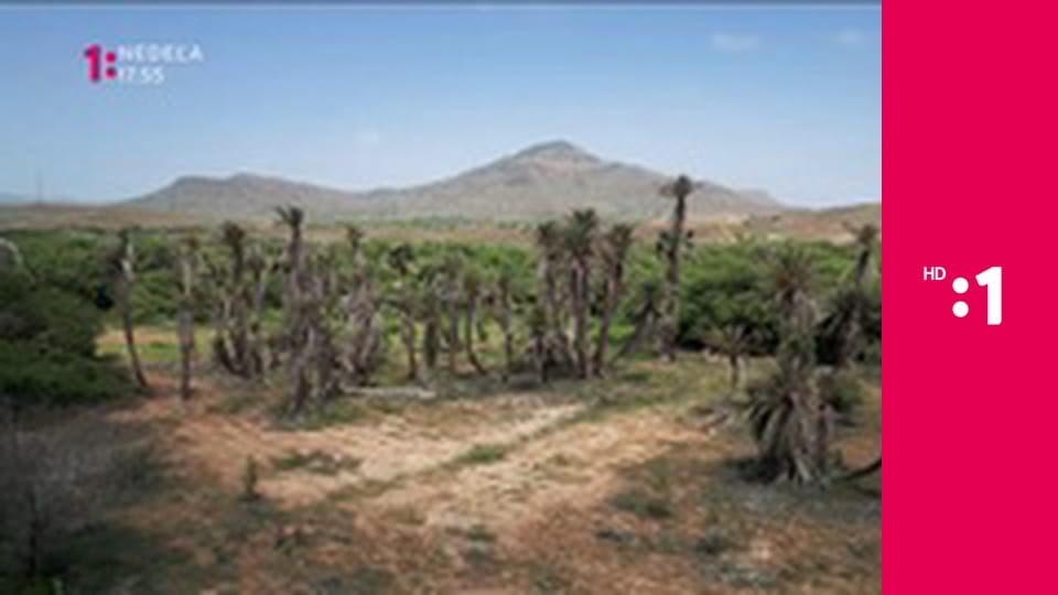 Zdravá maškrta E47