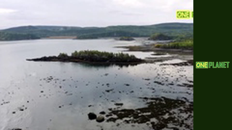 Крутой маршрут, 21 эп.