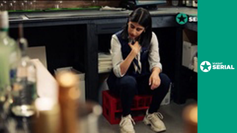 Д/с "Убивство з першого погляду", 2 сезон, 5 с. "Убитий за турботу - Майкл Гулікін".