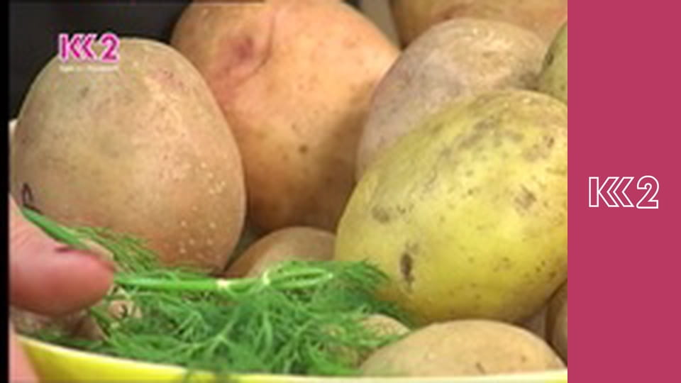 Удачний проект S1E4