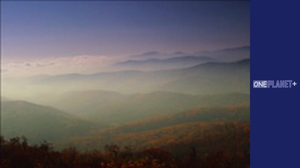 It is worth visiting. - episode 14