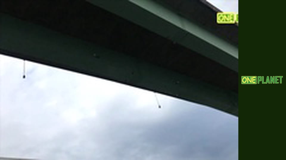 Дальние берега, 2 сезон, 8 эп.