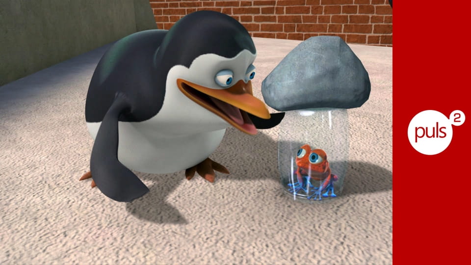 Pingwiny z Madagaskaru S1E108 - Mistrz kierownicy/Bombowa rozrywka