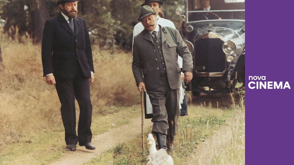 Rozpuštěný a vypuštěný