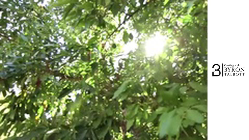 Spicy Avocado Steak Tartine