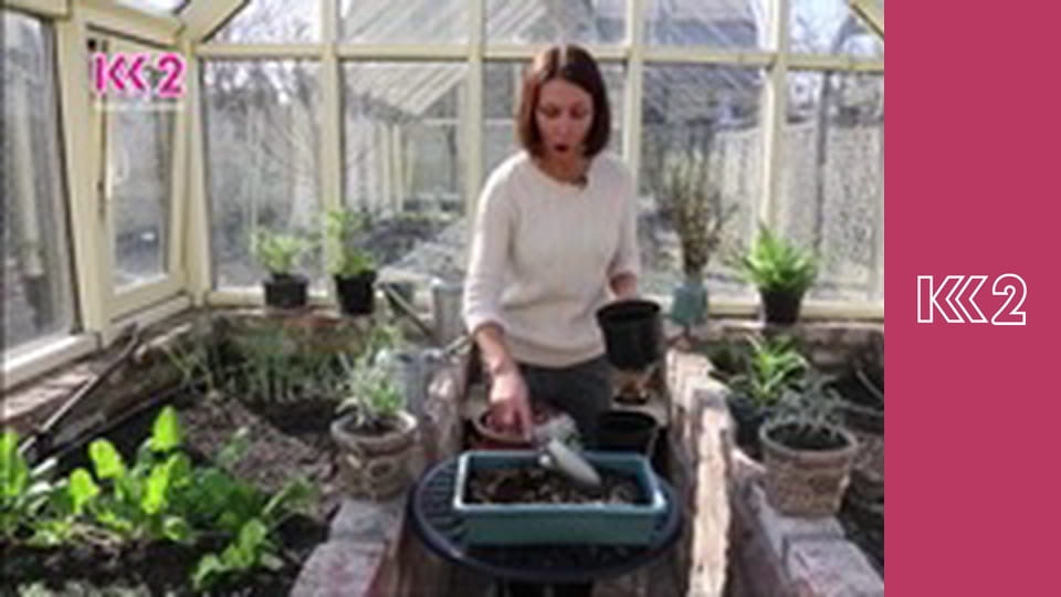 Удачний проект S4E15