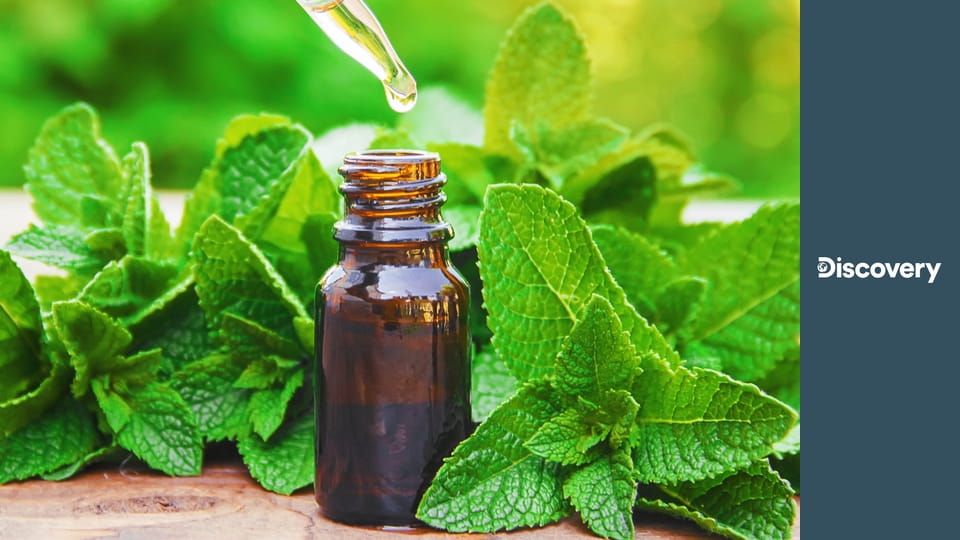 Как это сделано? S16E7