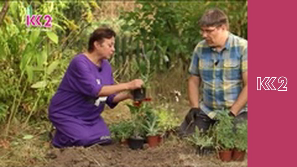 Удачний проект S1E27