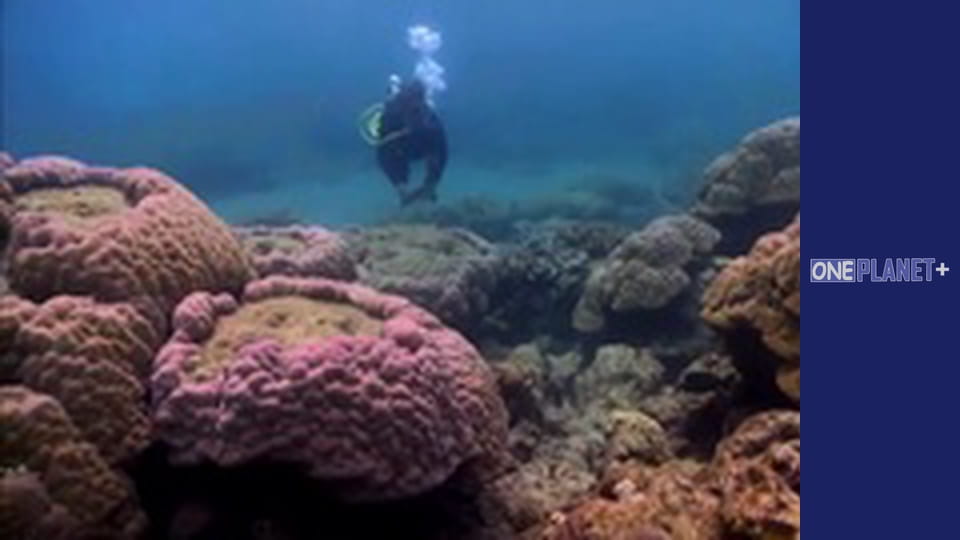 In search of knowledge. - episode 15