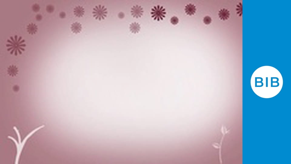 Nirvana Wellbeing Yoga Flow Beginner