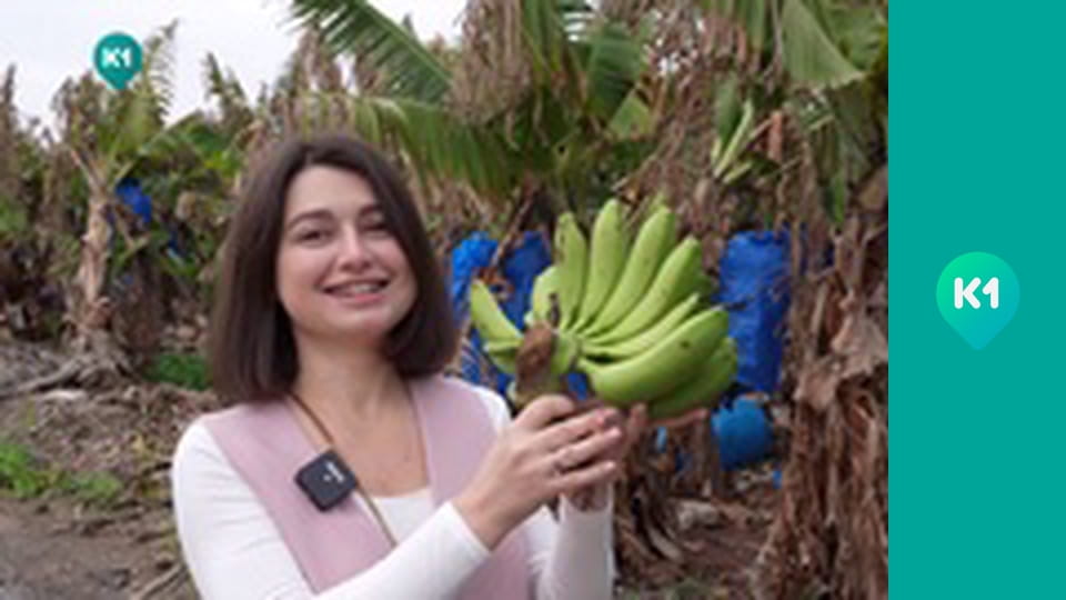 "Світ_огляд з Машею Себовою".