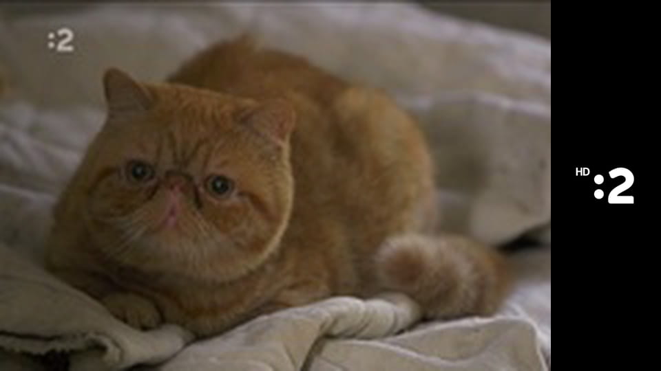 Slimák Maťo a škriatok Klinček E95 - Ako Maťo s Klinčekom cvičili baletky